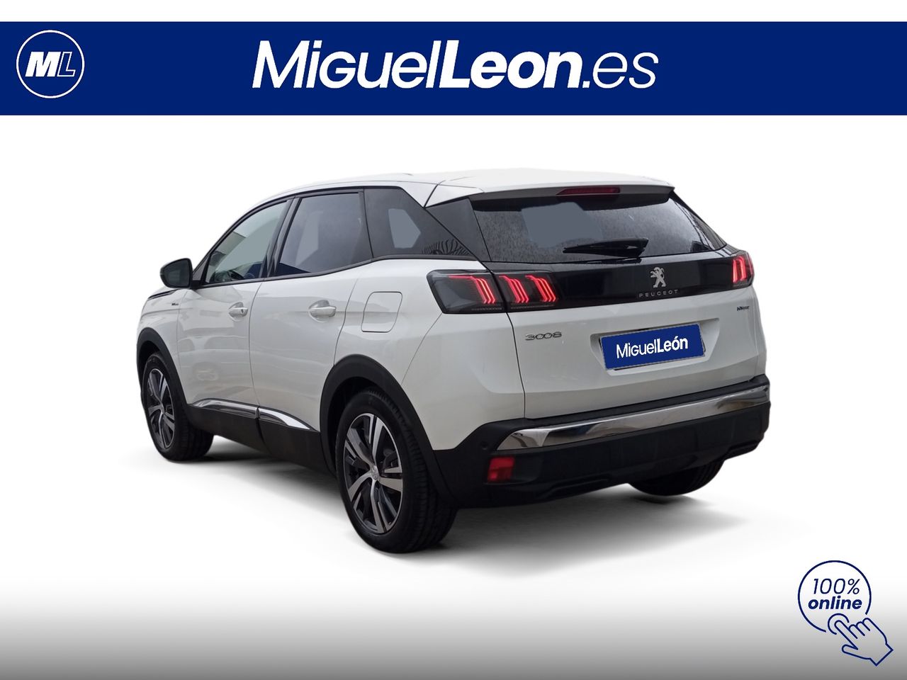 Foto Peugeot 3008 4