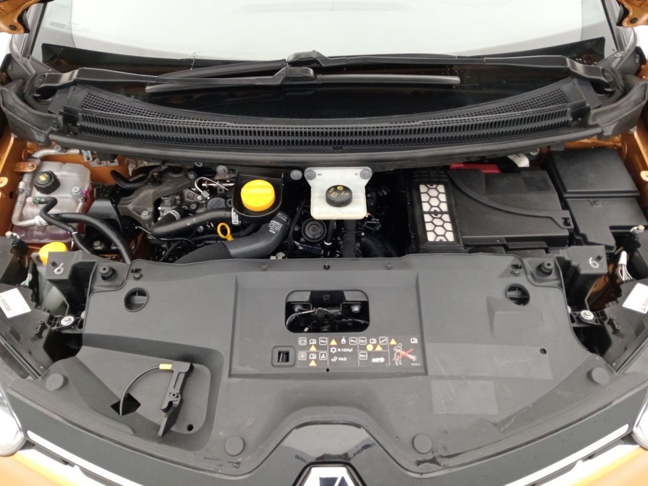 Foto Renault Scénic 27