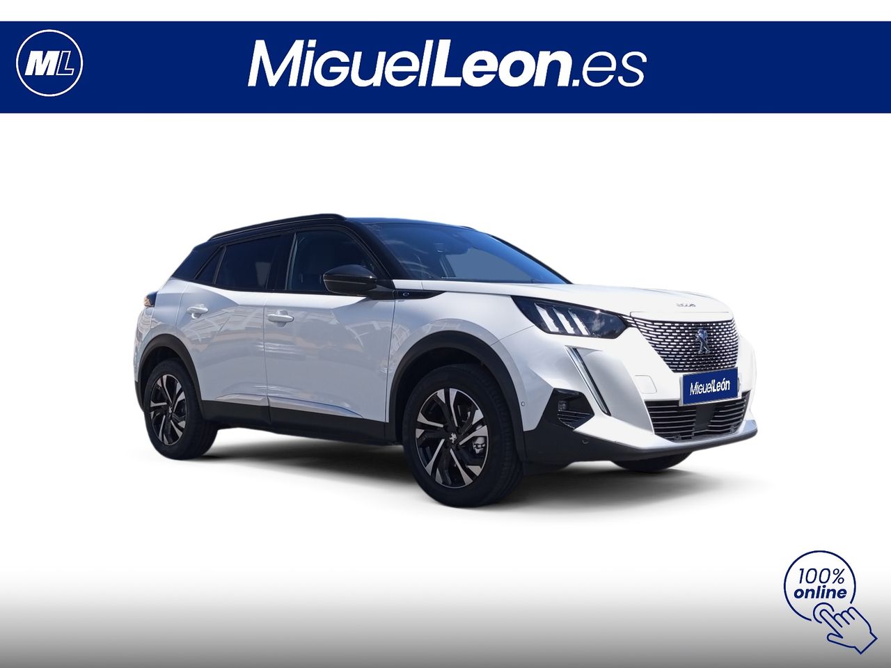 Foto Peugeot 2008 3