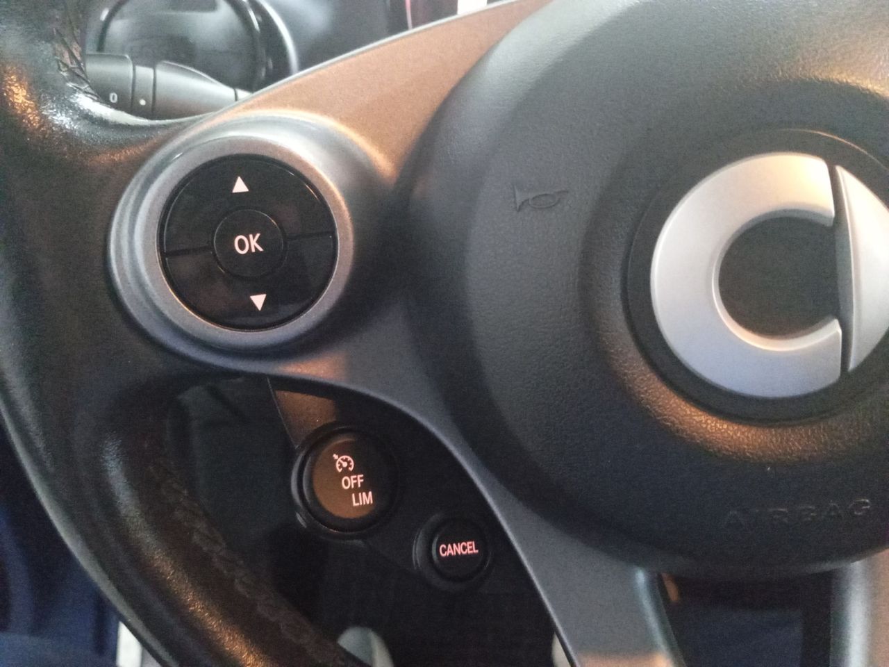 Foto Smart Forfour 14