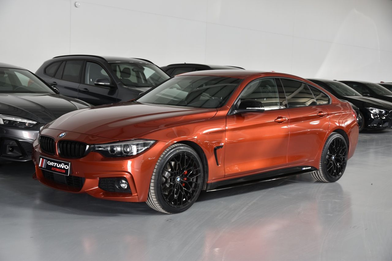 Foto BMW Serie 4 Gran Coupé 163