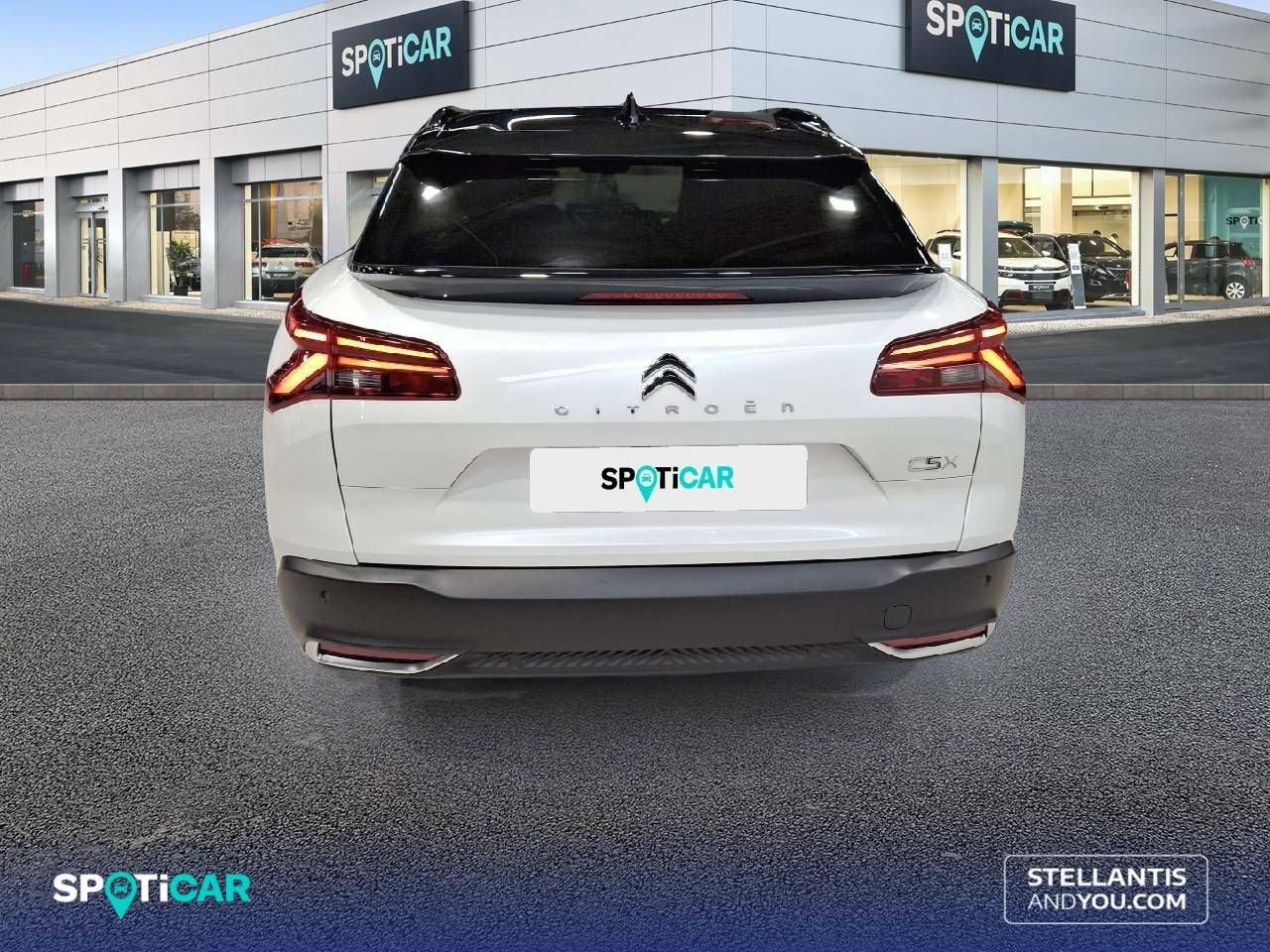 Foto Citroën C5 X 7