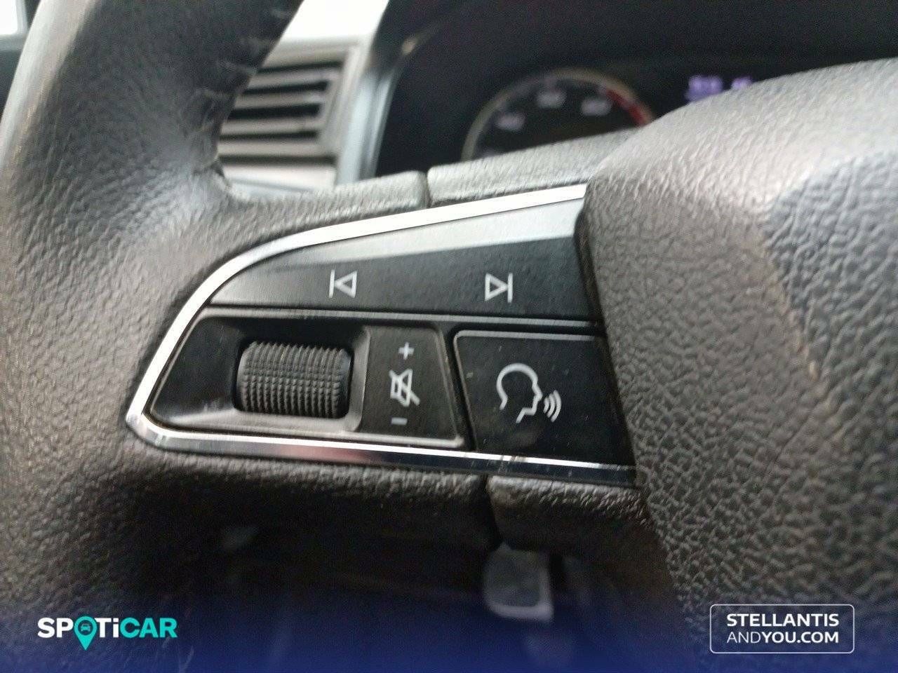 Foto Seat Ibiza 22