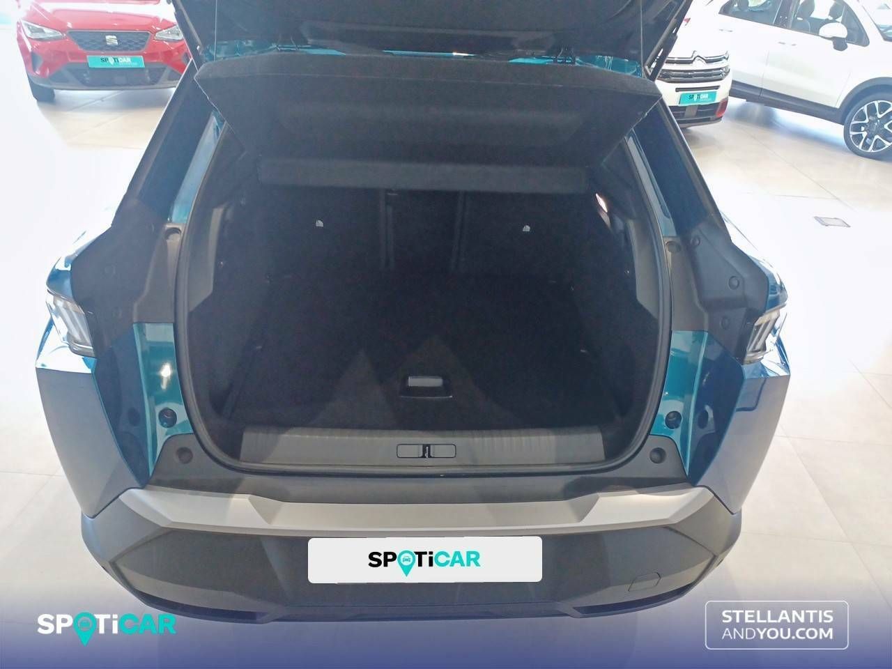 Foto Peugeot 3008 6