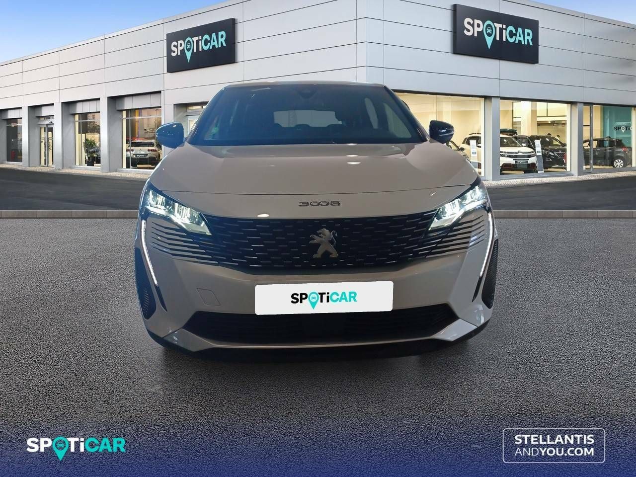 Foto Peugeot 3008 2