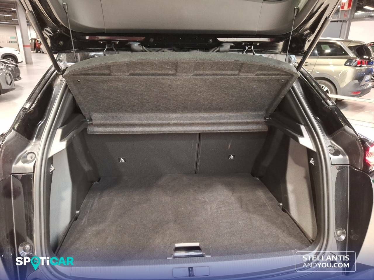 Foto Peugeot 2008 6