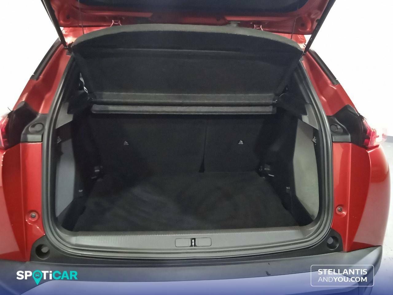 Foto Peugeot 2008 7