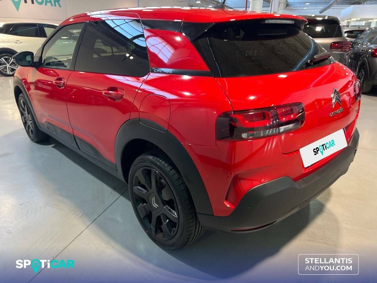 Foto Citroën C4 Cactus 7