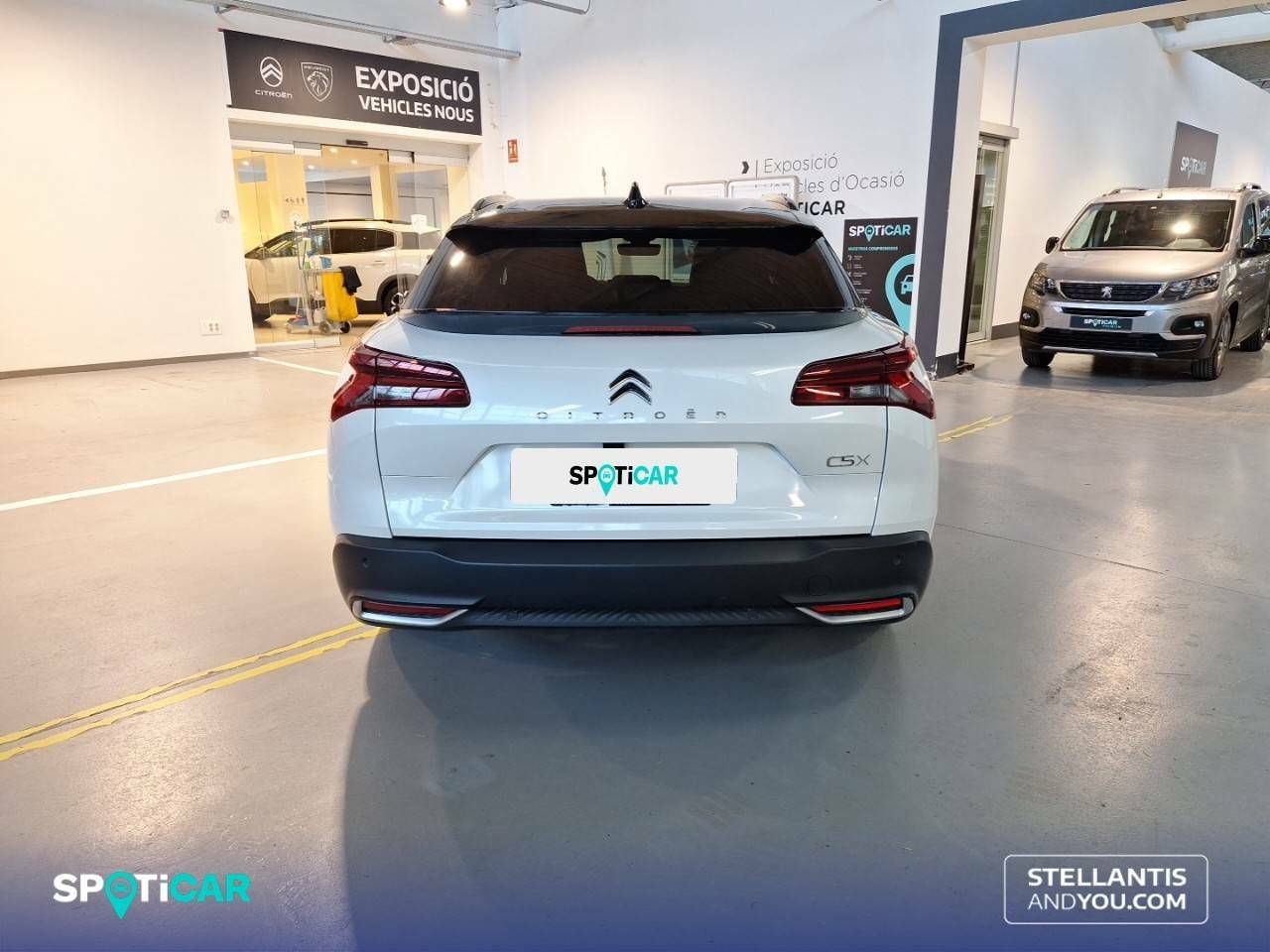 Foto Citroën C5 X 5