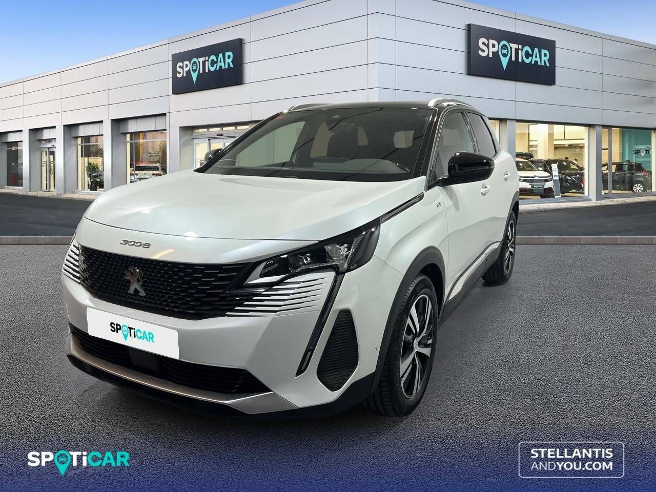 Foto Peugeot 3008 1