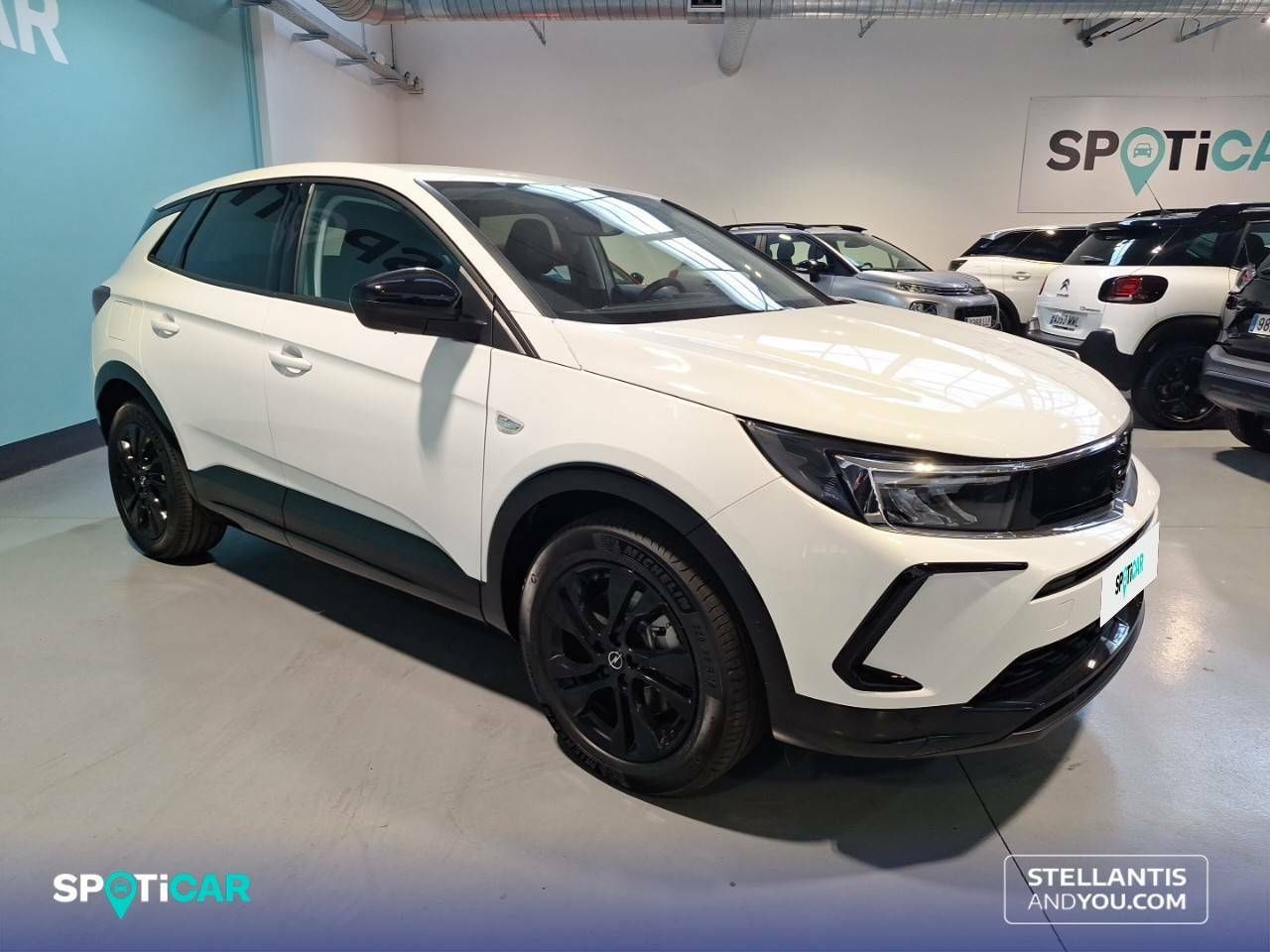 Foto Opel Grandland X 3