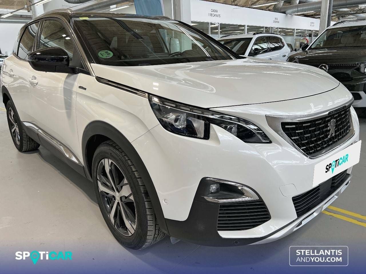 Foto Peugeot 3008 3