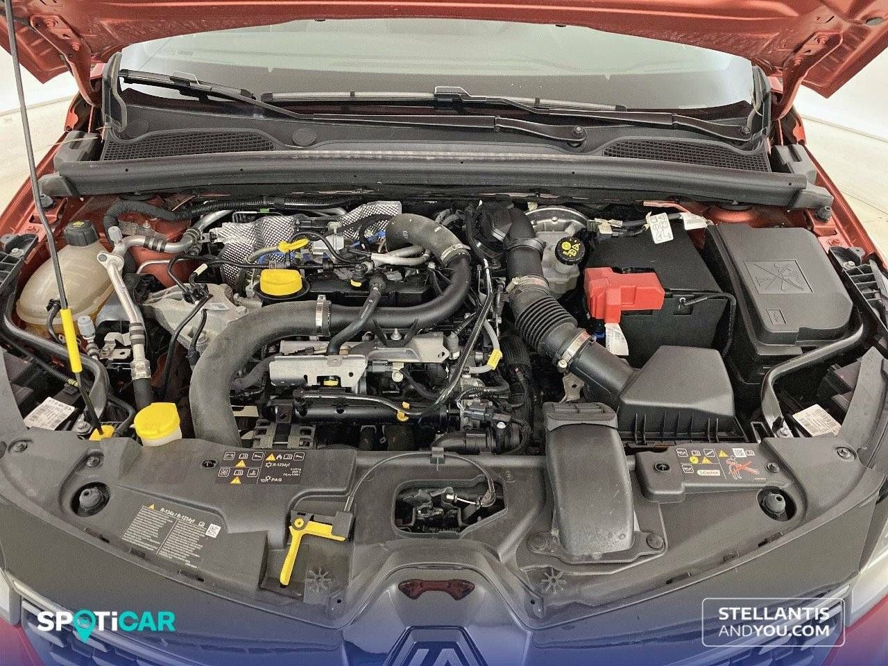 Foto Renault Clio 17
