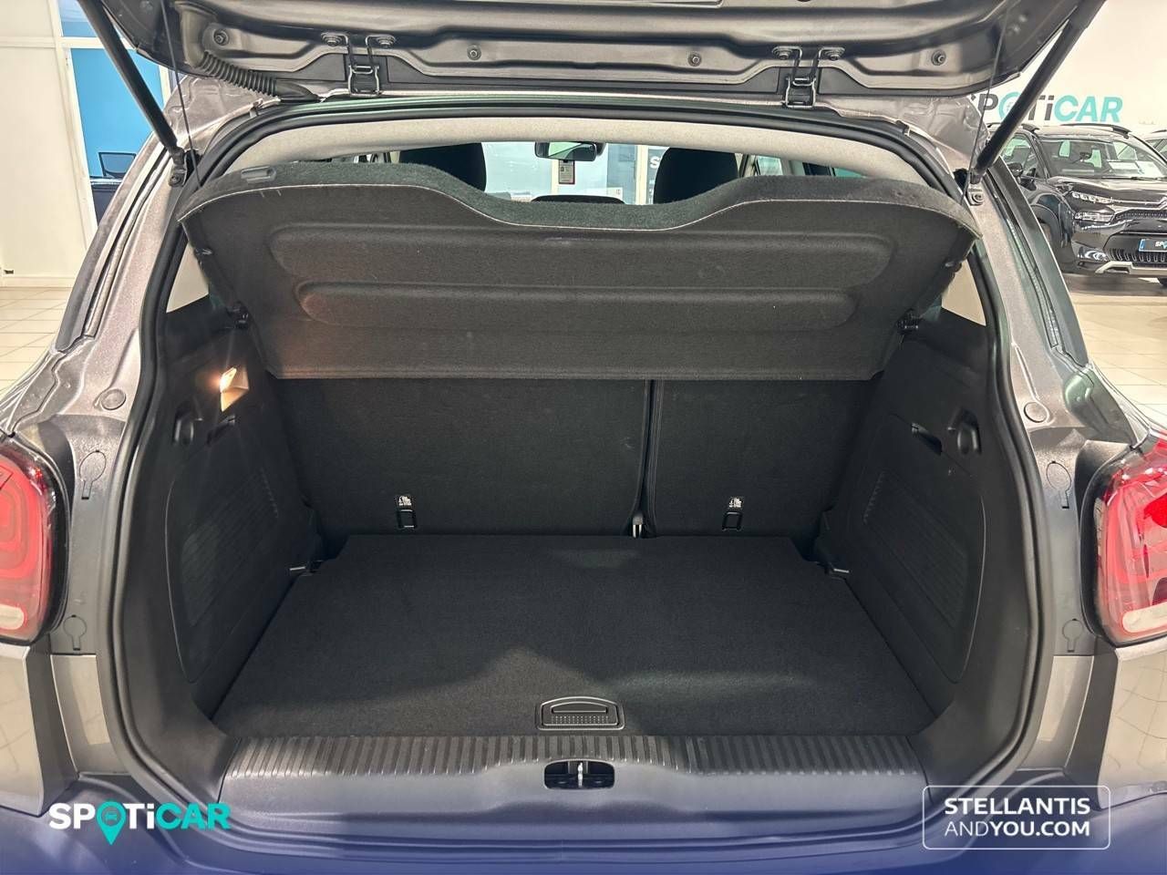 Foto Citroën C3 Aircross 6