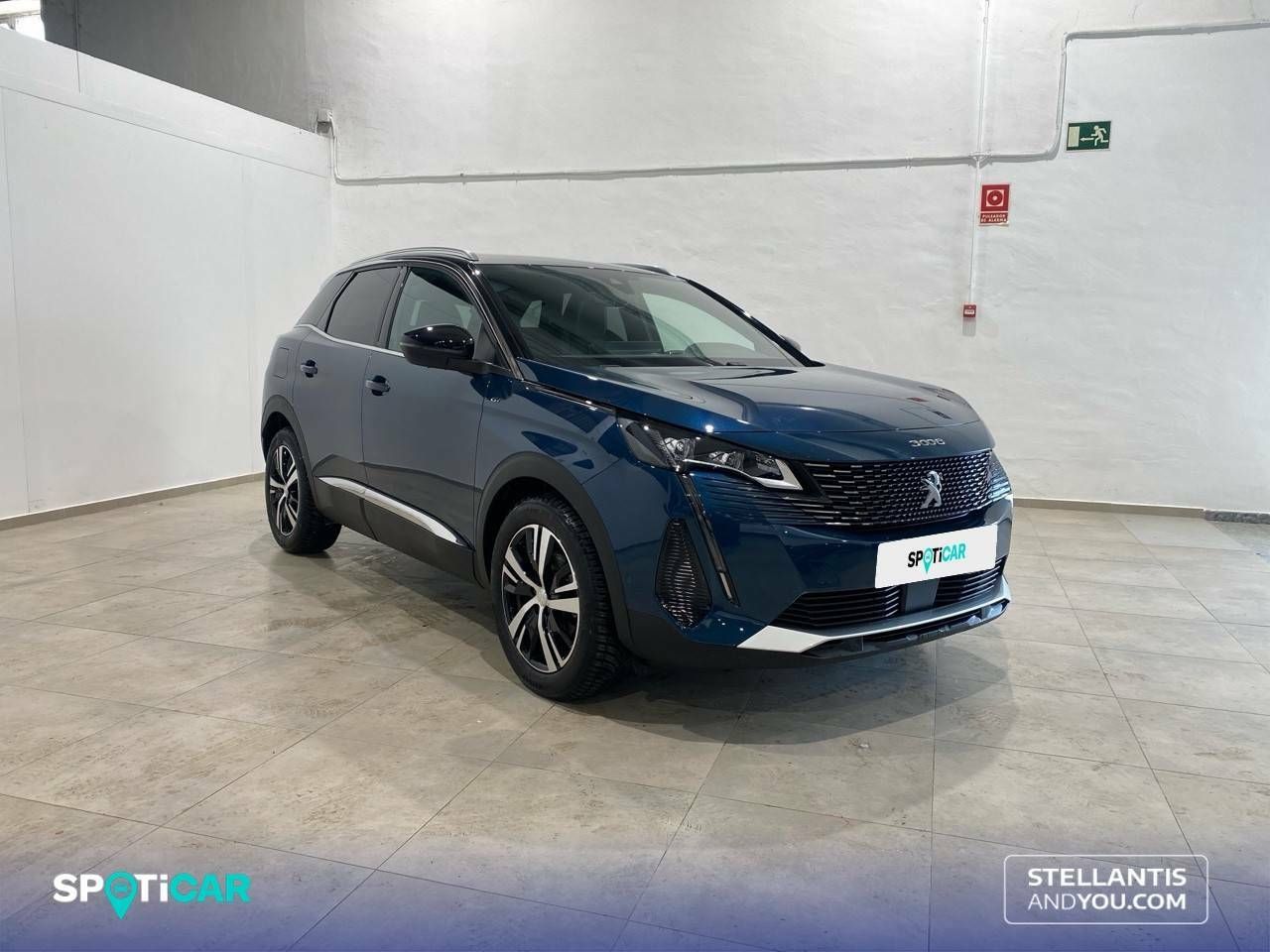 Foto Peugeot 3008 3