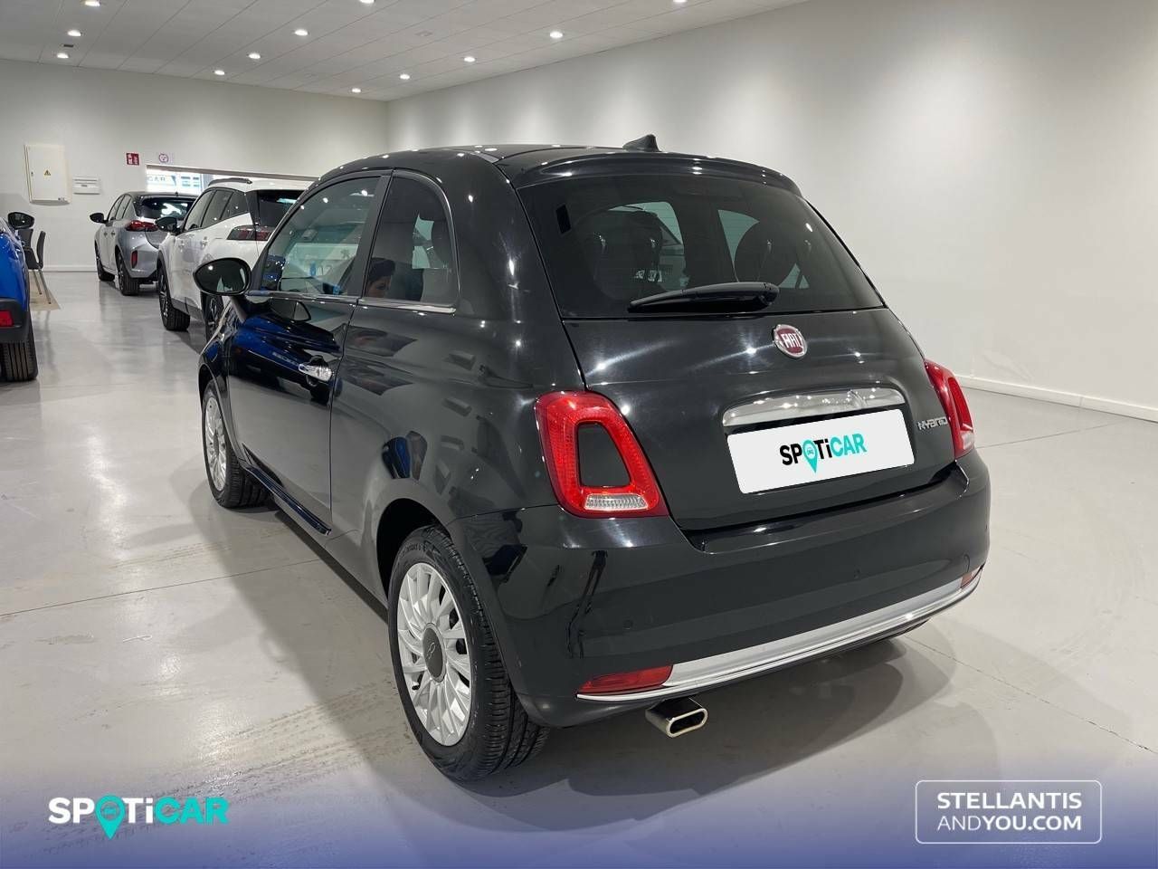 Foto Fiat 500 7