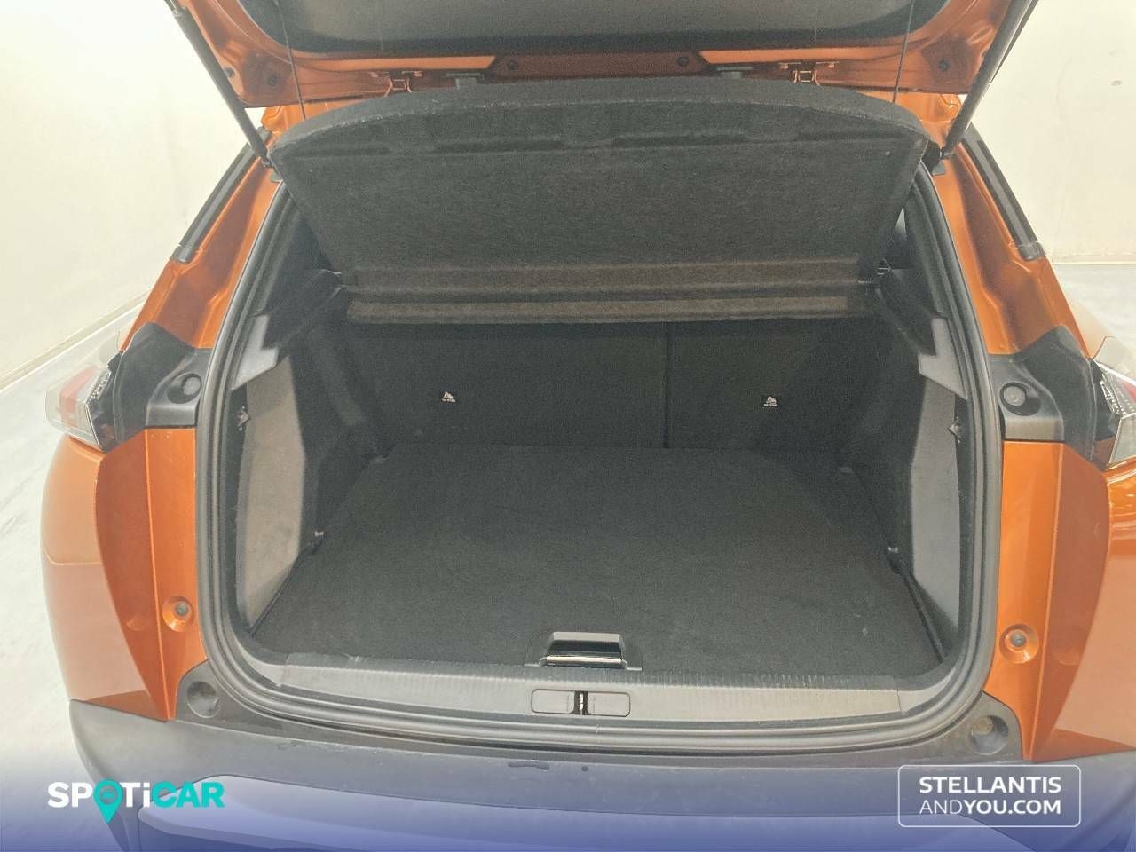 Foto Peugeot 2008 6