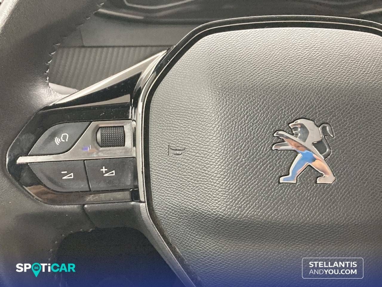 Foto Peugeot 2008 16