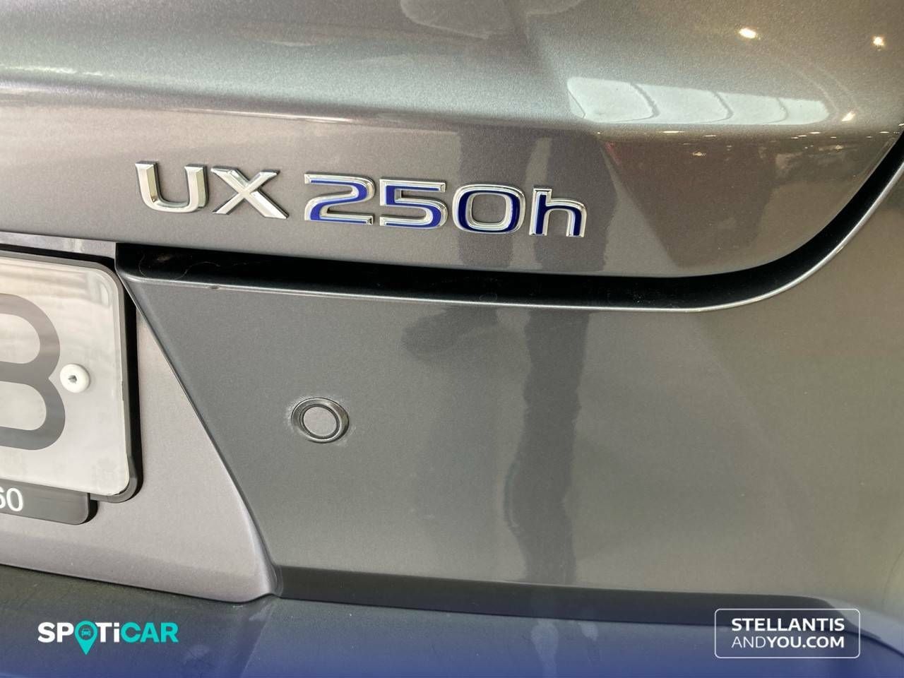 Foto Lexus UX 25