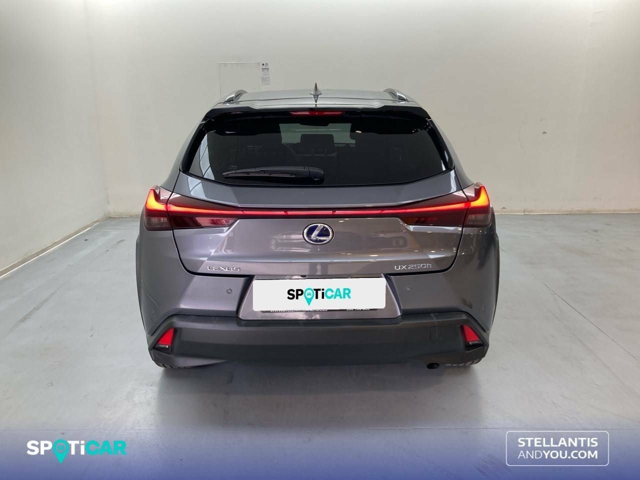 Foto Lexus UX 5
