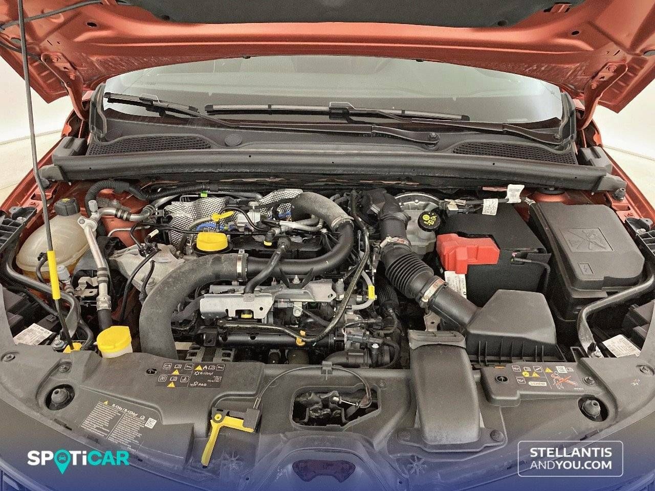 Foto Renault Clio 17