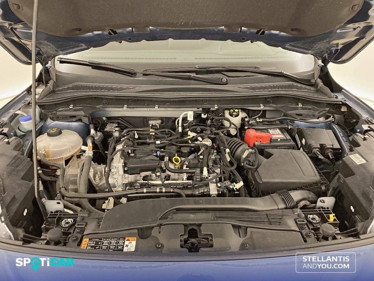 Foto Ford Kuga 17