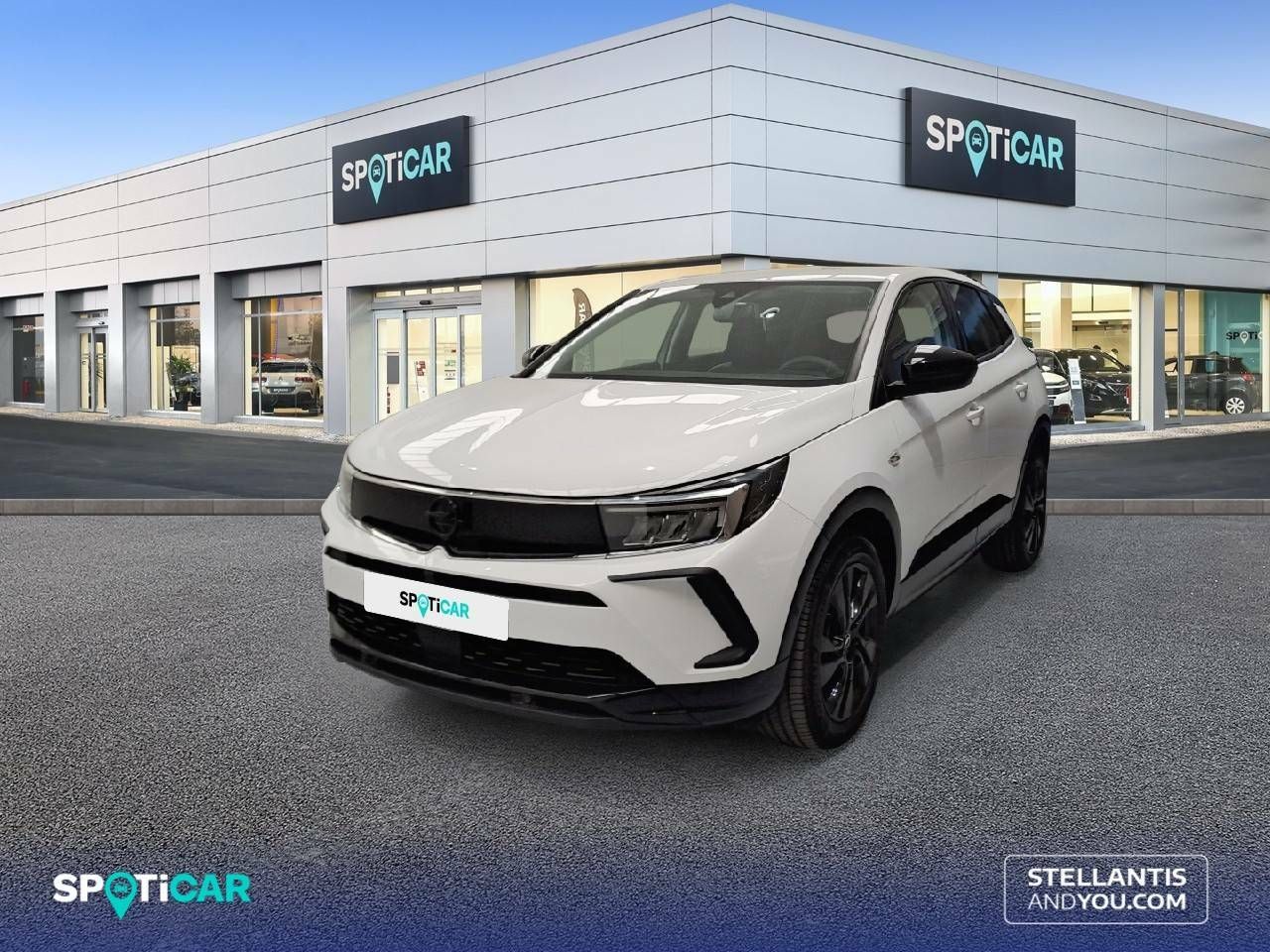 Foto Opel Grandland X 1
