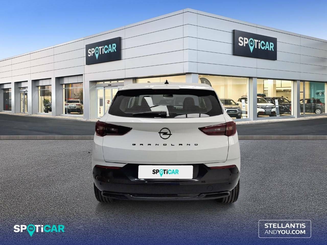 Foto Opel Grandland X 7