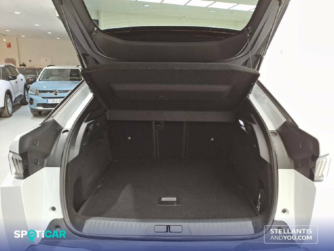 Foto Peugeot 3008 6