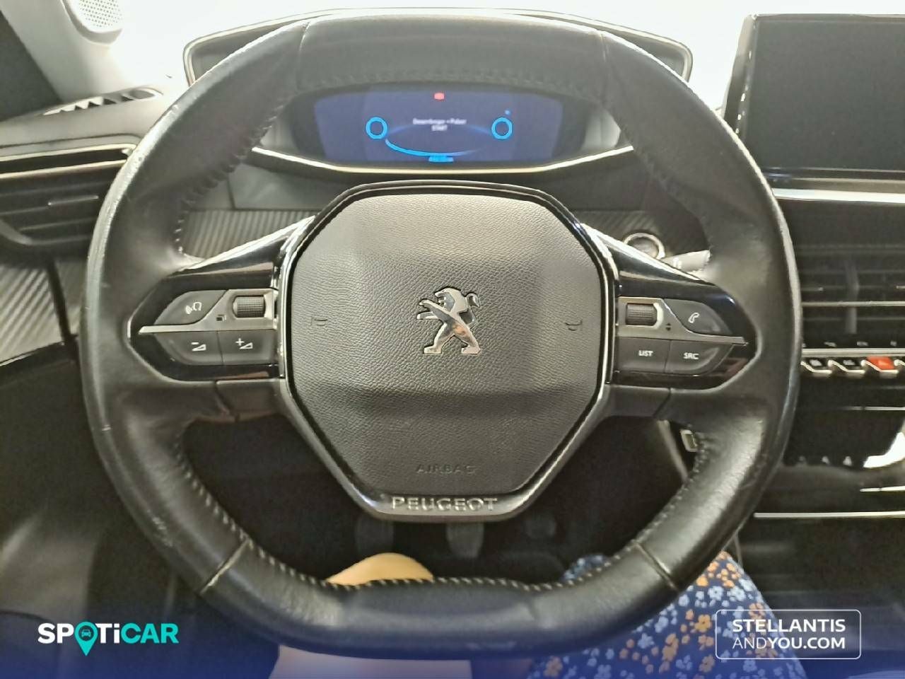 Foto Peugeot 2008 13