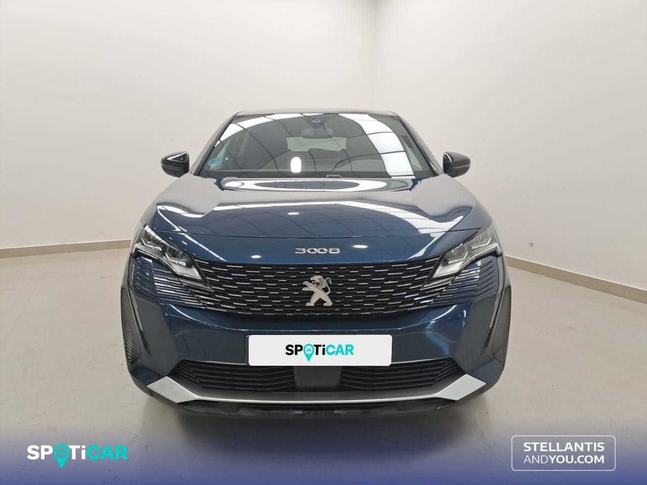 Foto Peugeot 3008 2