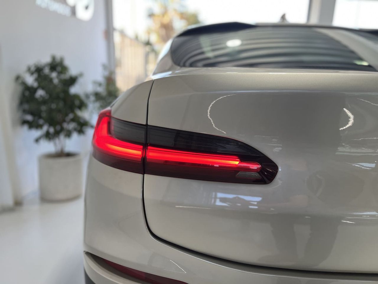Foto BMW X4 22