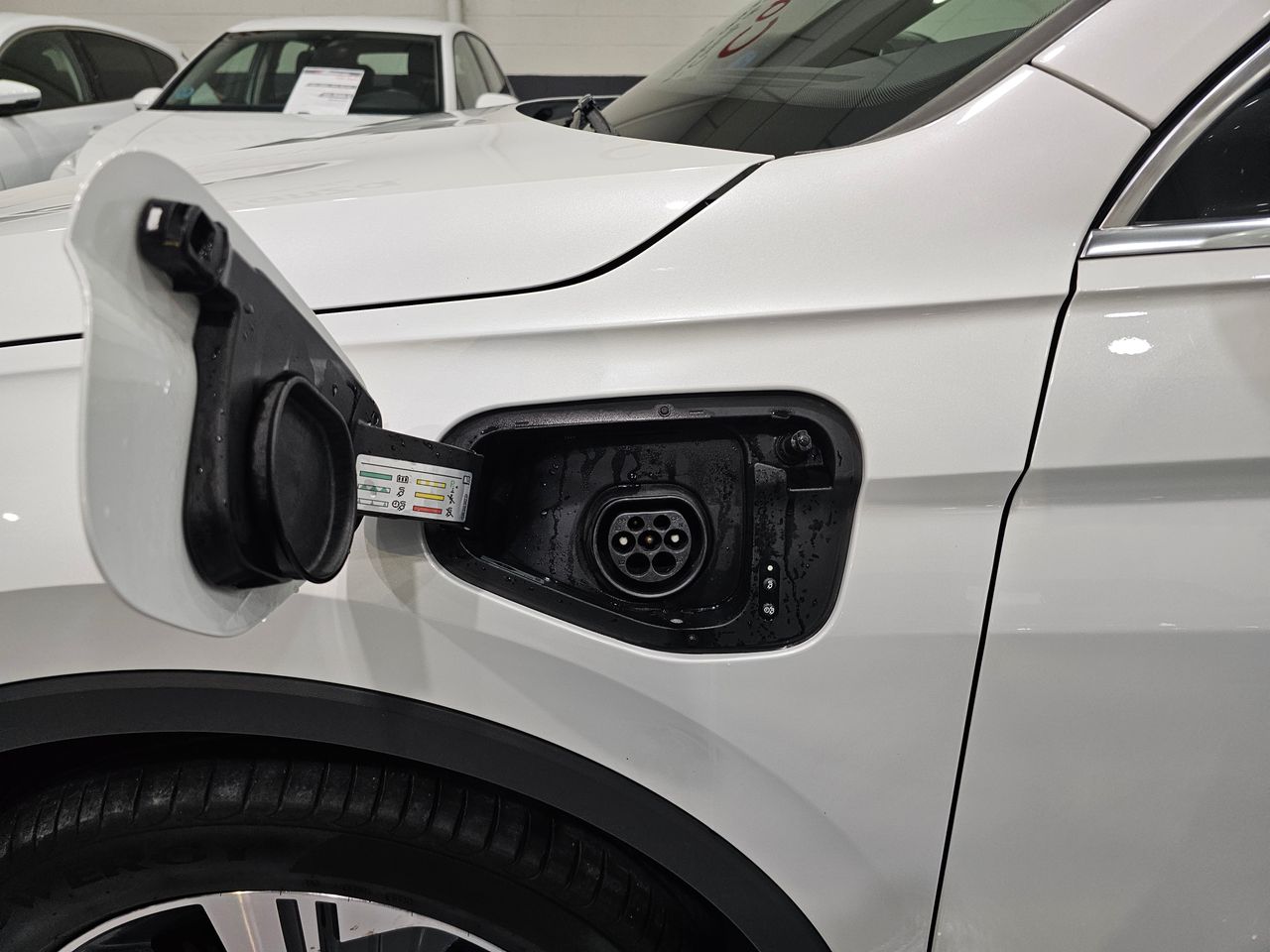 Foto Seat Tarraco 4