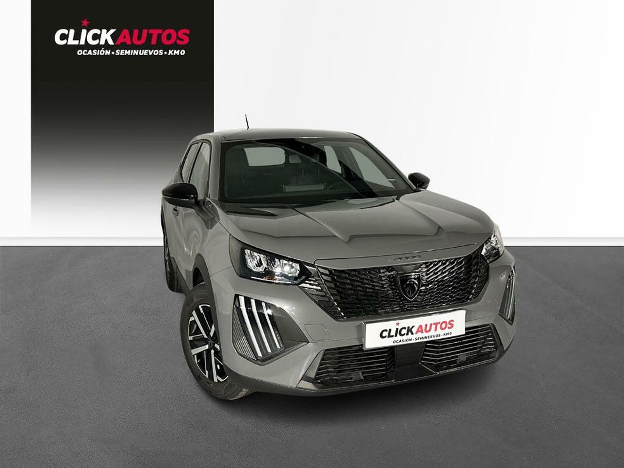 Foto Peugeot 2008 4
