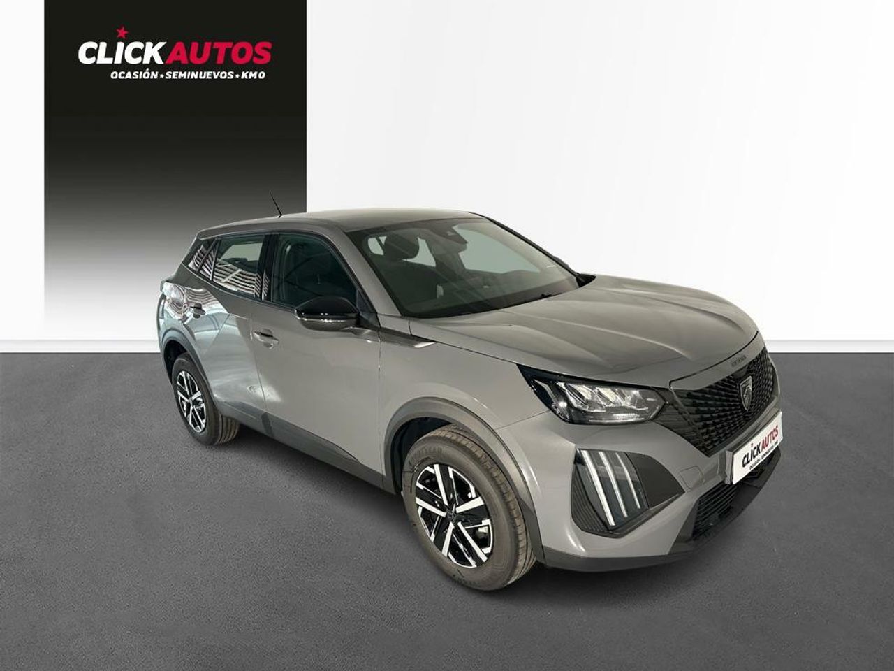 Foto Peugeot 2008 5