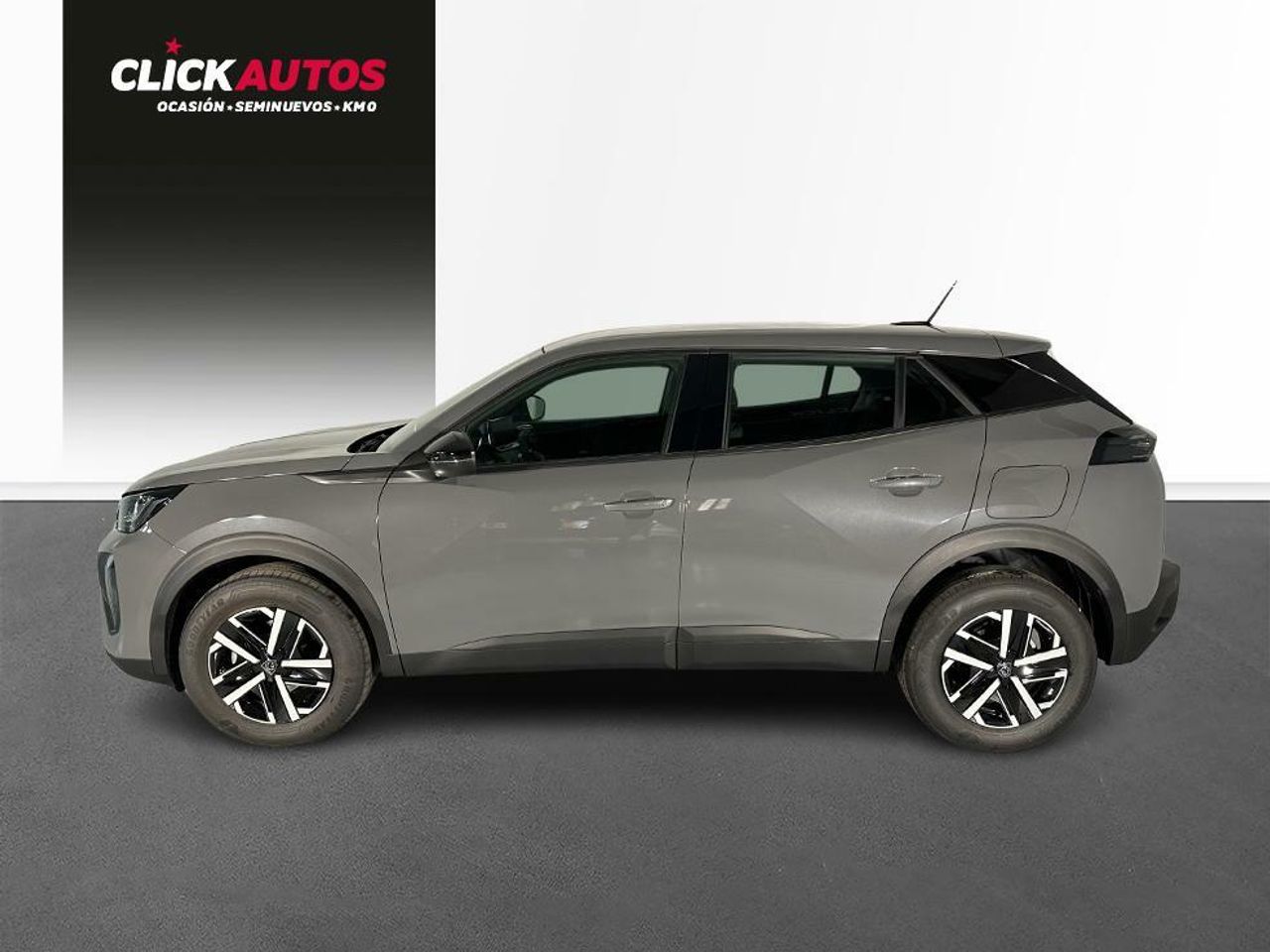 Foto Peugeot 2008 9