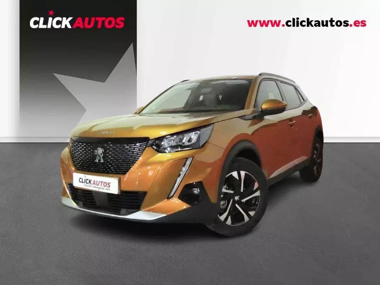 Foto Peugeot 2008 1