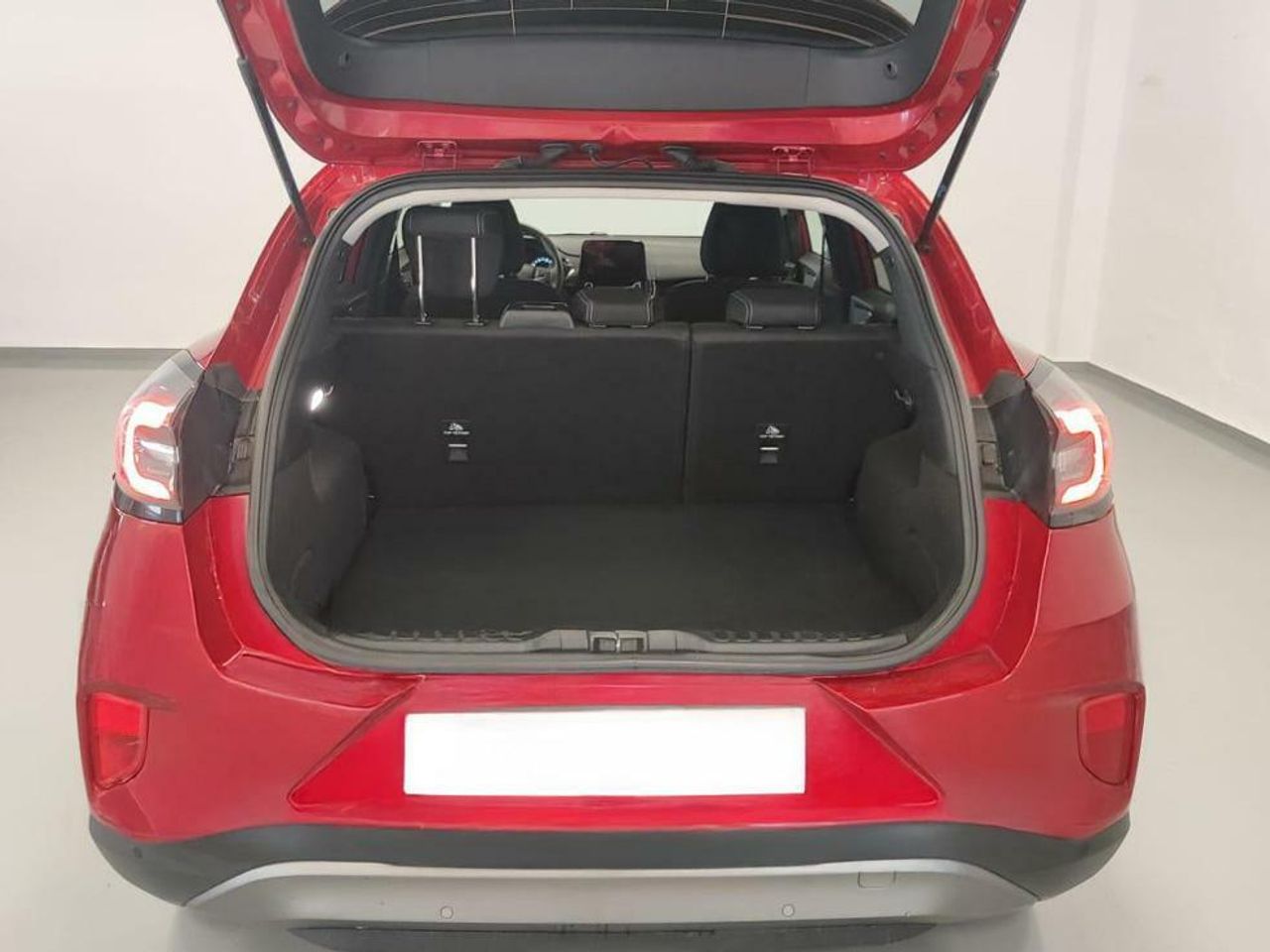 Foto Ford Puma 17