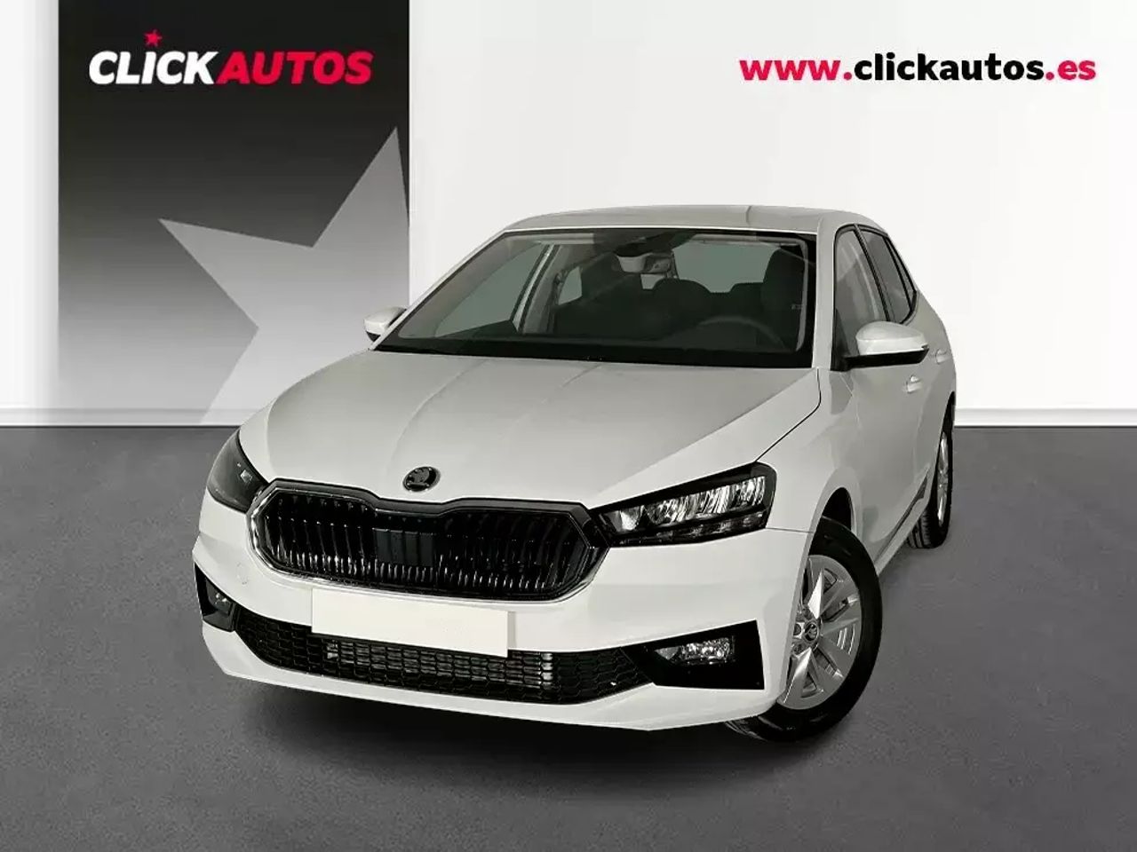 Foto Skoda Fabia 1