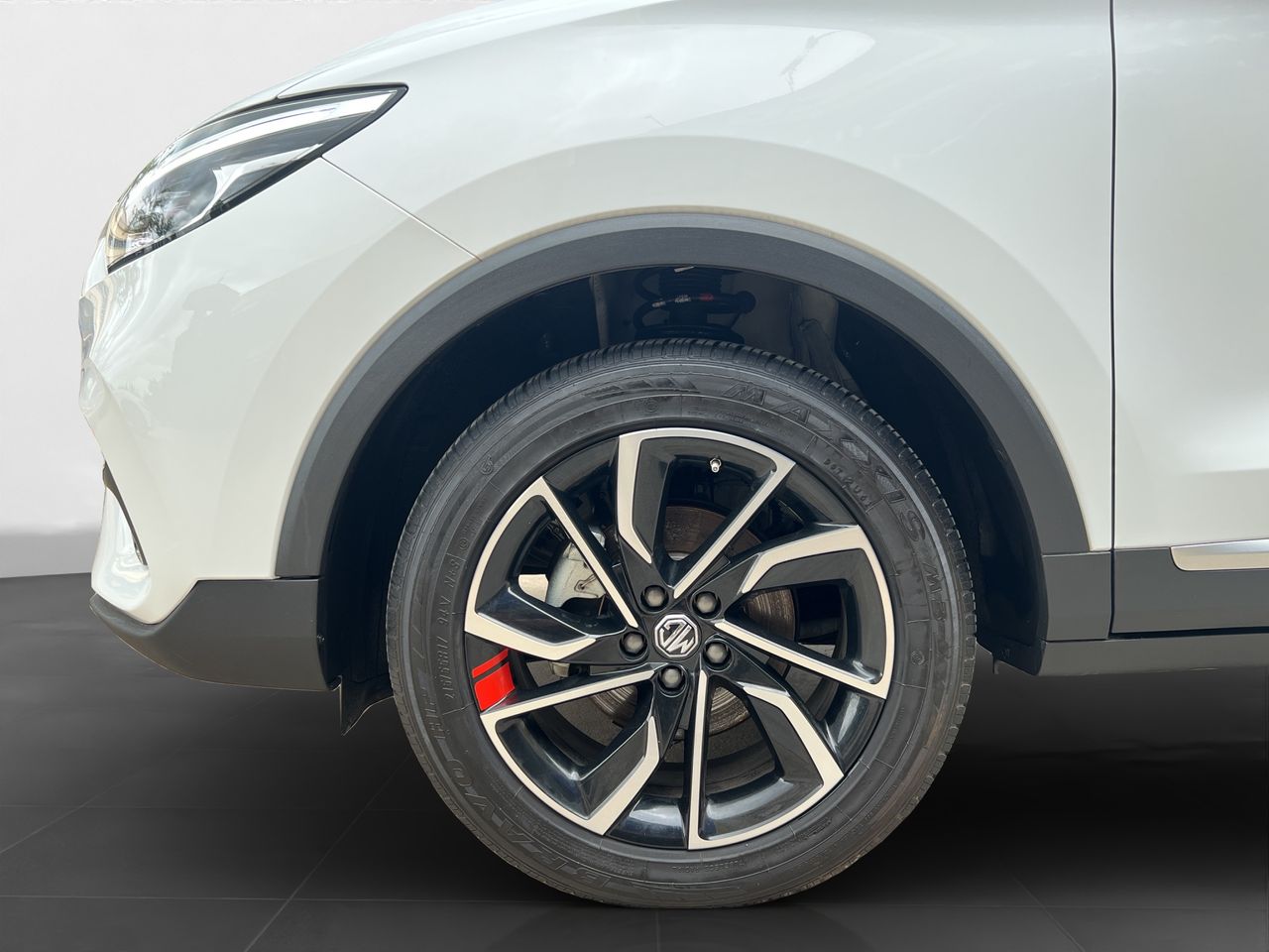 Foto MG ZS 17