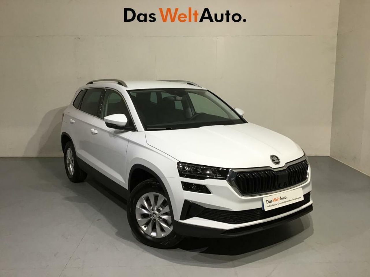 Foto Skoda Karoq 1