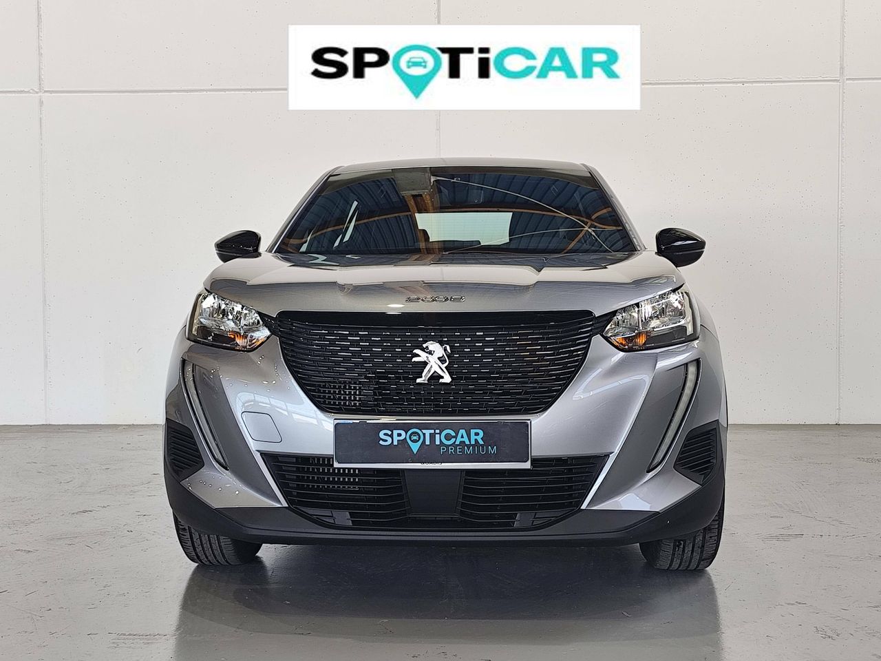 Foto Peugeot 2008 2