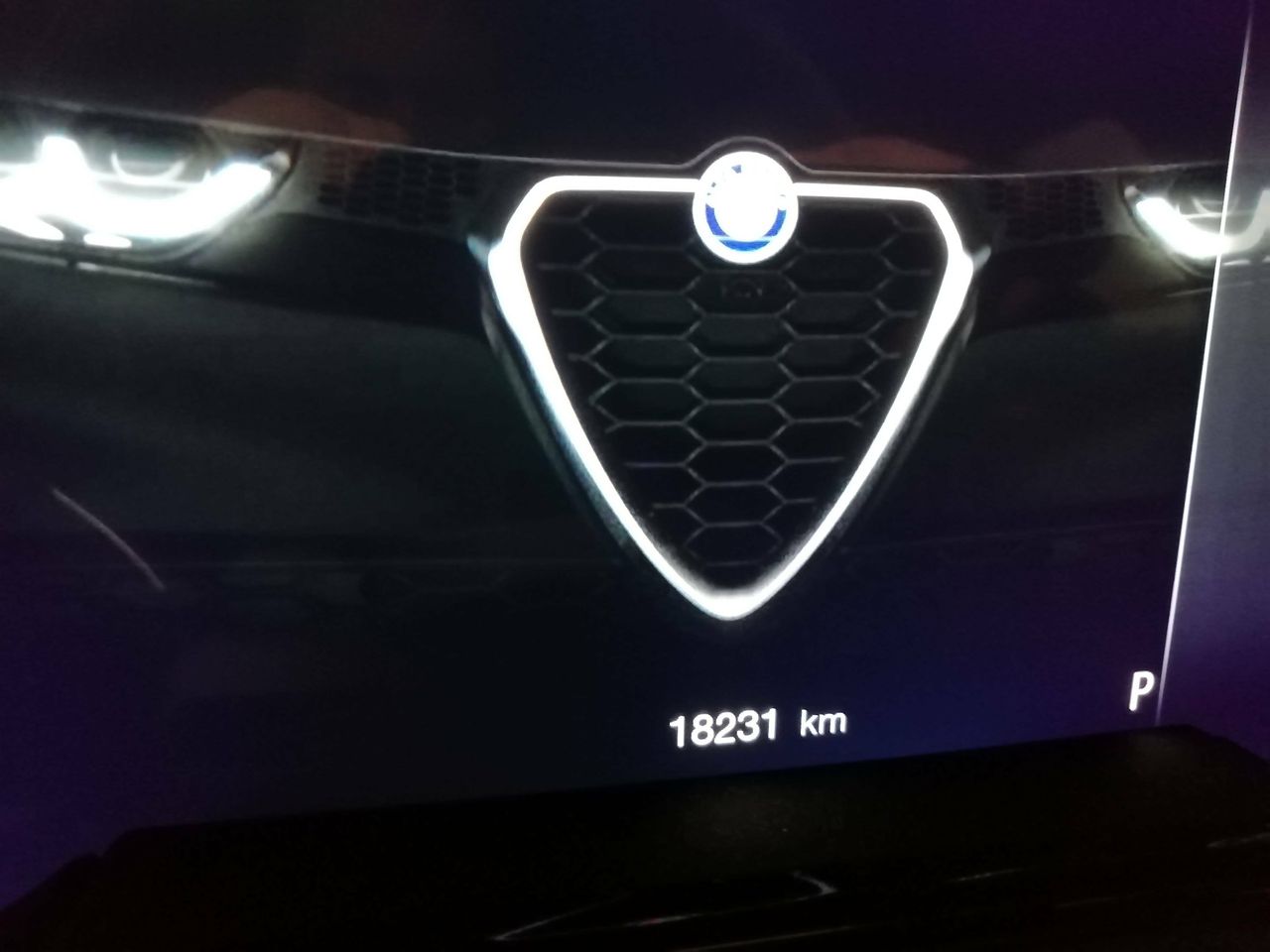 Foto Alfa Romeo Tonale 31