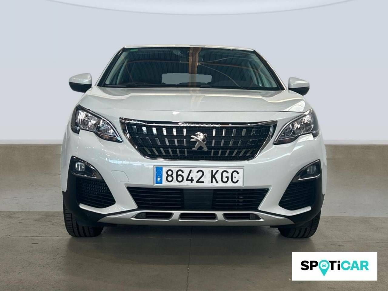 Foto Peugeot 3008 2