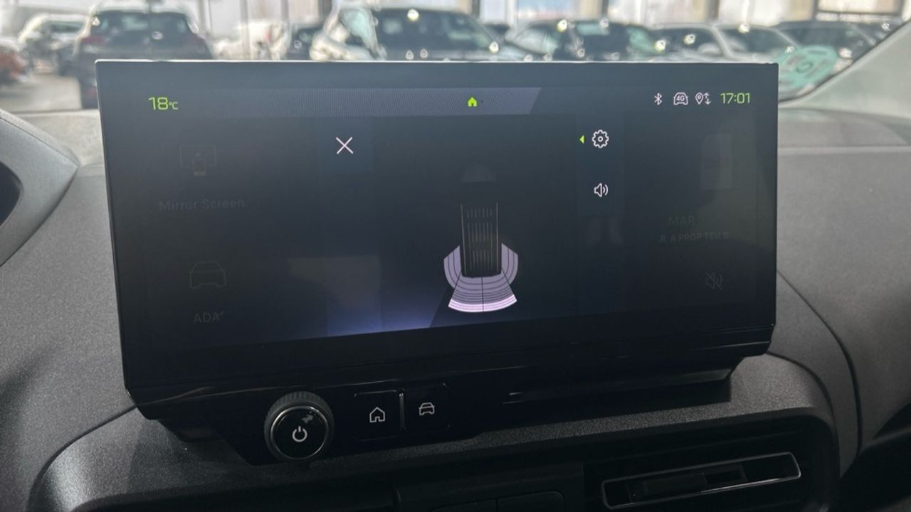 Foto Peugeot Rifter 47