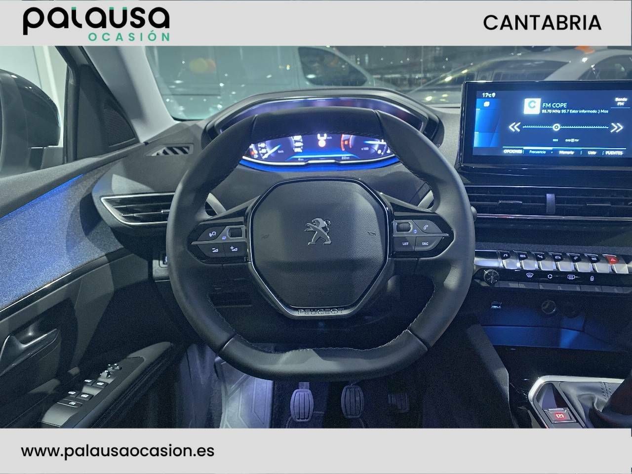 Foto Peugeot 3008 15