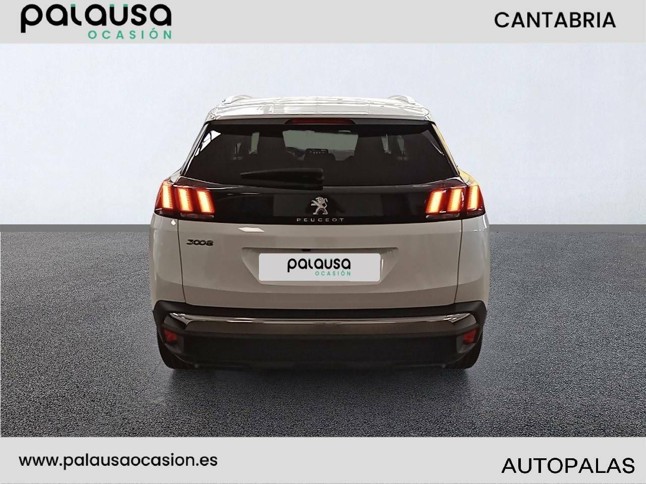 Foto Peugeot 3008 5