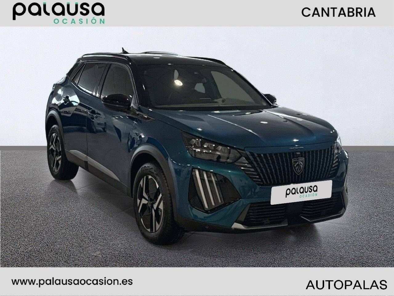 Foto Peugeot 2008 3