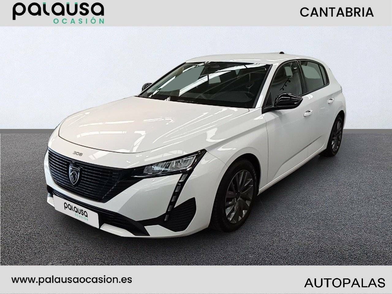 Foto Peugeot 308 1