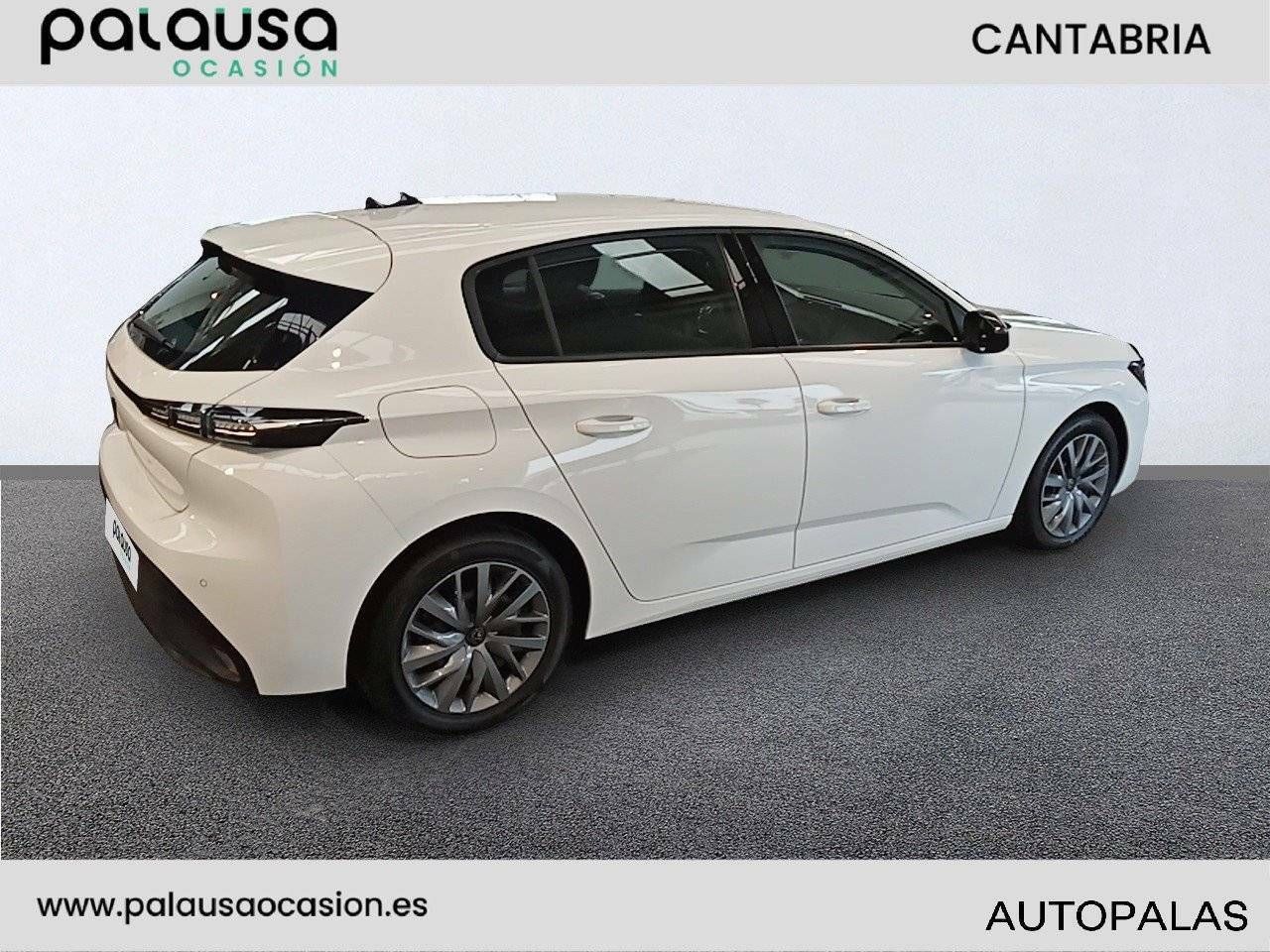 Foto Peugeot 308 12
